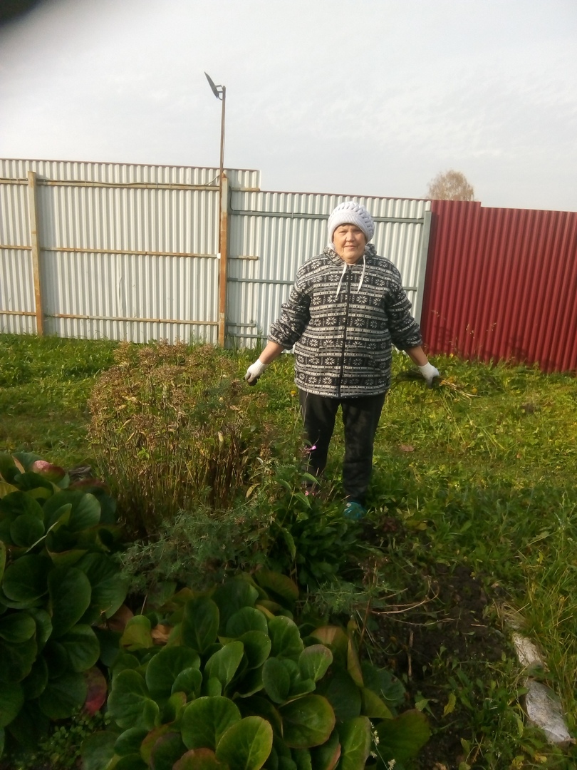 Фотография