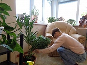 Уход за комнатными растениями в оранжерее.