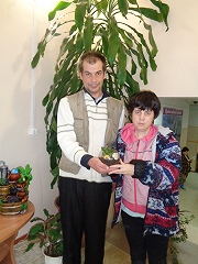 Мини-сад за стеклом.