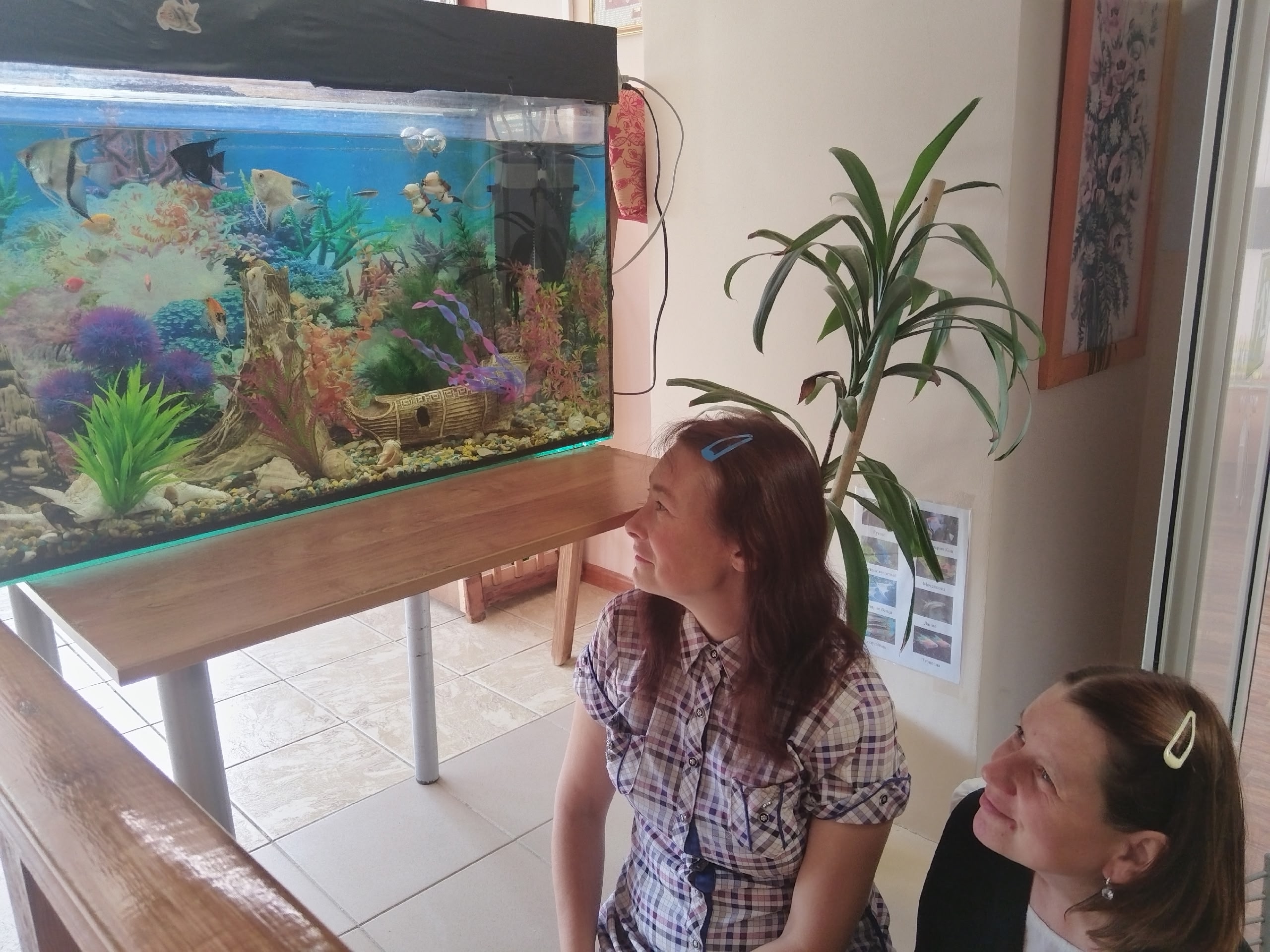 В учреждении на отделениях установлены аквариумы с яркими рыбками.