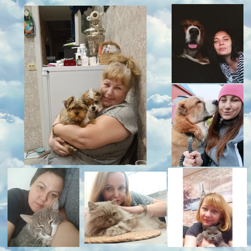 Домашние животные помогают лучше засыпать и снимать стресс. 