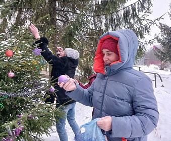 Наступила зима и землю укрыло белое покрывало снега. На улице морозно, но очень красиво.